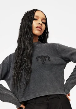 Ariel Cotton Blend Embroidered Long Sleeve Top