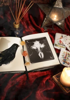 Cartomancy Journal