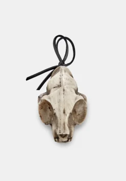 Cat Skull Offering