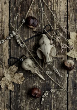 Cat Skull Offering