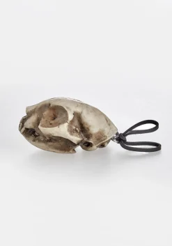 Cat Skull Offering