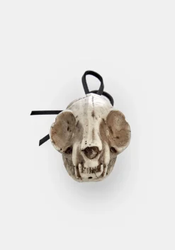 Cat Skull Offering