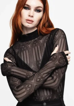 Cloister Flocked Mesh High Neck Long Sleeve Top