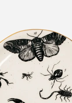 Parasite Bugs Print Trinket Dish