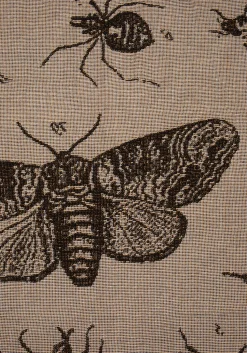Parasite Woven Blanket