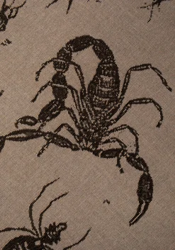 Parasite Woven Blanket